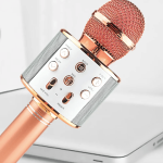 MIC KARAOKE MEGABASS WIRELESS