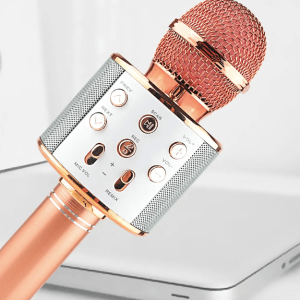 MIC KARAOKE MEGABASS WIRELESS