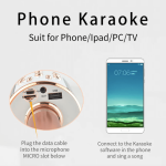 MIC KARAOKE MEGABASS WIRELESS